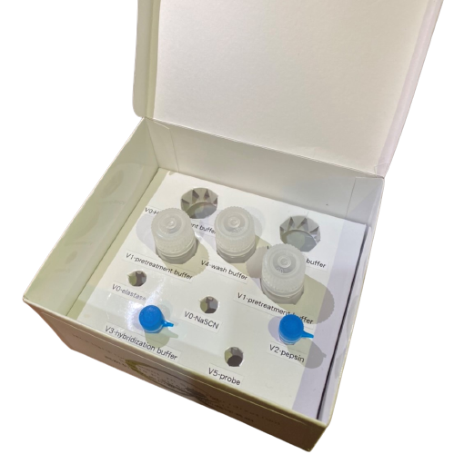 4. FISH Fluorescent Inspection Rapid Kit