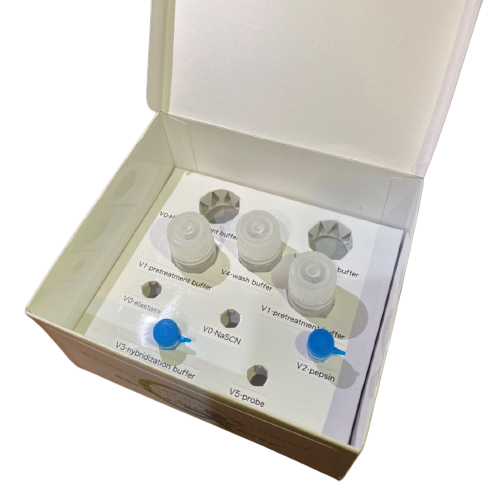 5. FISH Fluorescent Inspection Safety Kit